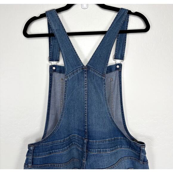 Madewell Raw Hem Overalls Size XL Denim Boho Artsy Homestead Country Farmer - Picture 7 of 16
